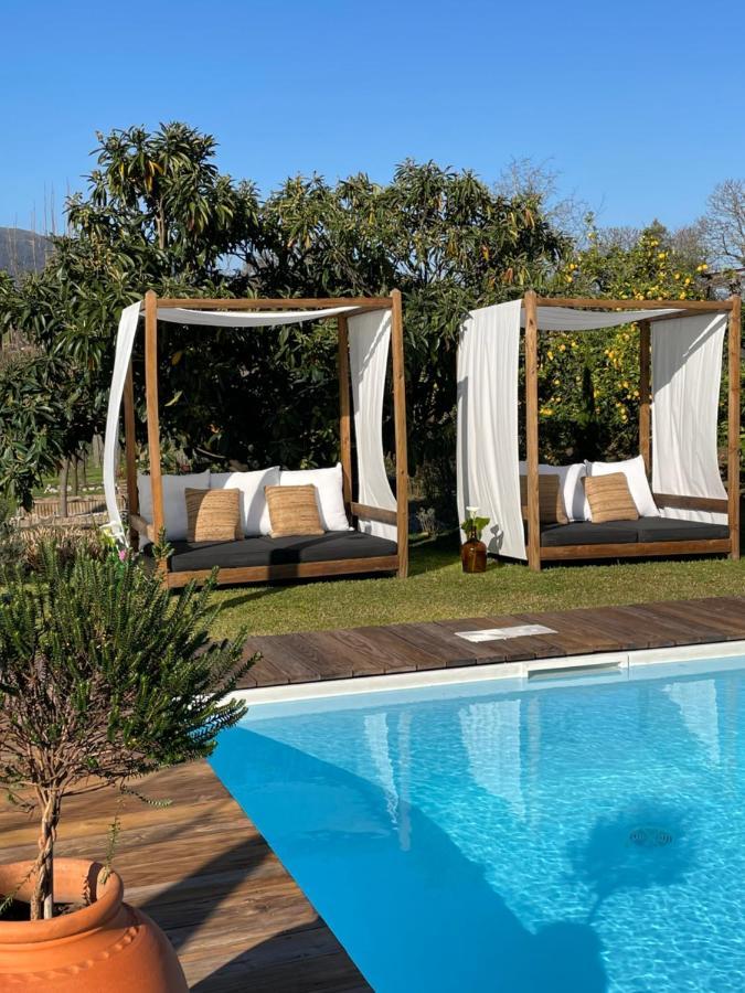 Villa D'Aurora Country Suites Ponte de Lima Bagian luar foto